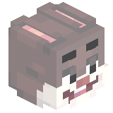 mishakomp