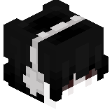mrNionix