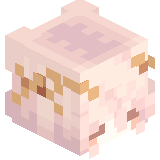 n_nsts