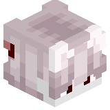 ncorrexx