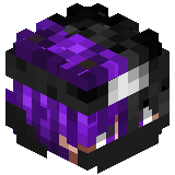 ninja_tim