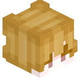 nokuta