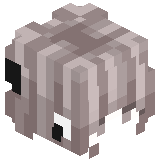 pronebneb