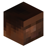 riasjaor