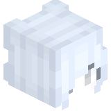 scharkcover