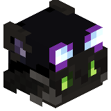 shell_