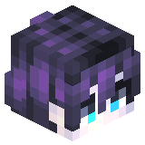 shork24