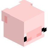 shynepuzoswagga