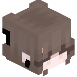 skatthefier