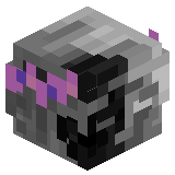 sqdPatrick