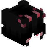 tazichek