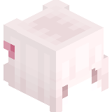 whitekitty
