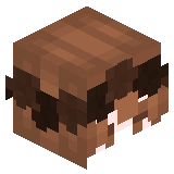 xDigger