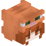 xFlaches