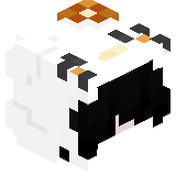 xasvent