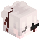 zSqwoz