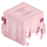 zxcvbnmkjhgfdsad