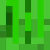MishaVSC_YT