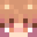 SHvarcer14