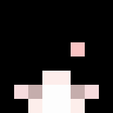 StefForD_XD