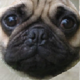 VioletaKoketka