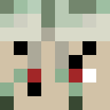 VoIN_2809