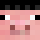 _SmetanaNosok_N1