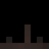 lexus_offical