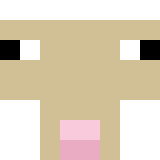 nitro_1