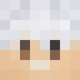 pokemon_220