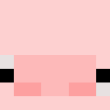 shynepuzoswagga